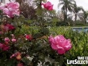 Presidental tasks handled in a very different 4/16