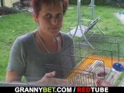 Stallion bangs granny next door 2/16