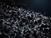 Fucked pussy showered with hot pee 1/16