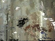 The Taste Of Cum 4/16