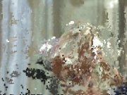 The Taste Of Cum 8/16