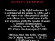 Serina Hayakawa swallows after nasty oral pl 1/16