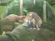 Julie Jodar heels godess in hot bdsm scene 14/16