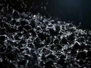 Tight young girlfriends swap piss 1/16