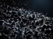 Kinky girlfriends swap golden showers 1/16