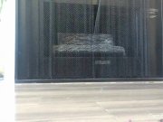 Capri Cavanni in her high heels  2/16