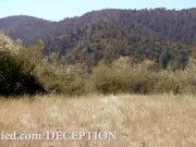 DECEPTION - An Erotic Mind-Fuck Thriller 13/16