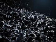 Piss play for hot young girlfriends 1/16