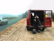 public fuck on traffic street 14/16