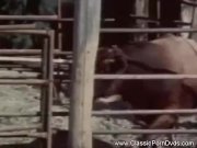 Try Some Vintage Porn Here 1/16