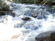 Audrey on the Bridge