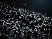 Lesbian lovers piss squirting orgasm 1/16