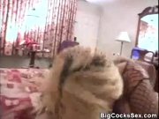 Big Cock Fucking For Babe In Fishnets 7/16