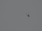 Audrey, Caugh playing whit her self at the be 16/16