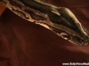 Petite Lady Deepest Desire of Sensuality 16/16