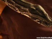 The Rising Of The Sensual Snake 16/16