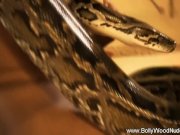 The Rising Of The Sensual Snake 7/16