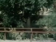 Classic Sex Nostalgia 1/16