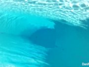 Dani Daniels and Cherie DeVille go for a swim 1/16