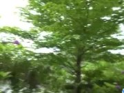 Top rated outdoor POV oral with kinky Mikuru 4/16