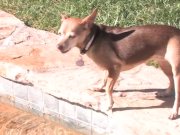 Quick BTS tease w/ Vanessa & Tia 1/16