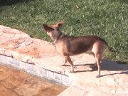 Quick BTS tease w/ Vanessa & Tia 2/16