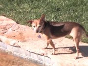 Quick BTS tease w/ Vanessa & Tia 3/16