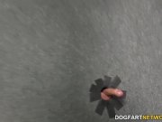 Jade Nacole makes cock cum at the Glory Hole 5/16