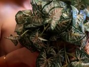 Fuck me now or lose me forever