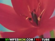 He bangs his lusty mother in law   1/16