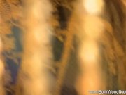 The Erotic Life Of India 3/16