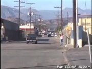 Chubby Chick Gobbles Two Cocks 1/16