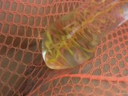 No one does it better than Chloe 4/16