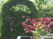 Gorgeous Girls' Anal Fantasies 6/16