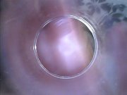 Kira - Kinky selfie (endoscope pussy cam) 8/16