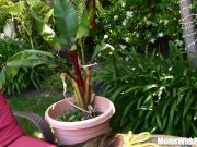 Oiled-Up Photoshoot Creampie Kristal Summers 3/16