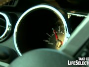 Fitness Junkies 1/16