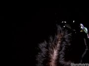 Hot Asian Suck Black Glory Hole Cock 10/16