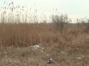 bbc jovan jordan country fucks thickred phat ass  2/16