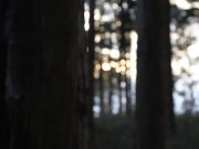 Stark naked Japanese fat frog lady in the swamp HD 1/16