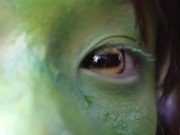 Stark naked Japanese fat frog lady in the swamp HD 7/16