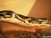 Bollywood Dancing Passion 6/16