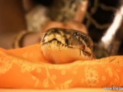 Bollywood Dancing Passion 8/16