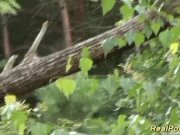 german teen banged in the forest 2/16