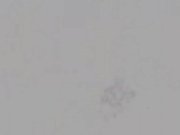 Aaliyah Love Deserves the D! 6/16