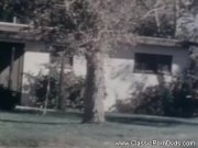 Vintage Sex With Classic Hairy MILFs 5/16