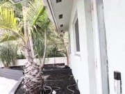 Sexy BBW Lila Lovely Relaxes and Fucks Her Doctor 1/16