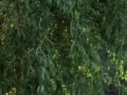 Sexy Karma fucked in stockings and garter 2/16