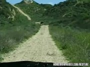 Sitka sits on the dicka 2/16