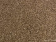 She likes showing off her huge natural tits 1/16